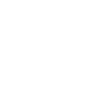 Raingroup referans marka logosu
