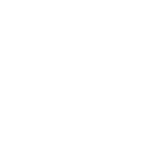 Raingroup referans marka logosu