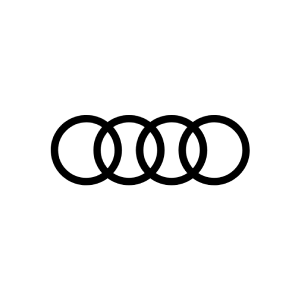 Raingroup referans marka logosu